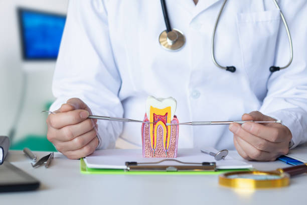 Best Emergency Dental Care for Abscessed Tooth in Morton Grove, IL